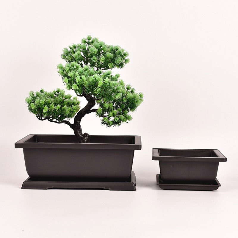 Rechteckiger Bonsai-Topf